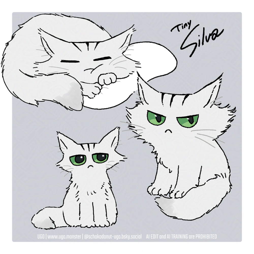 猫みたいな生き物シルバの絵3つ。幼い時の様子。丸になって寝てるシルバ、うるうる目シルバ、ジト目シルバ。